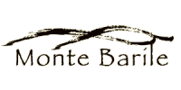 logo_montebarile